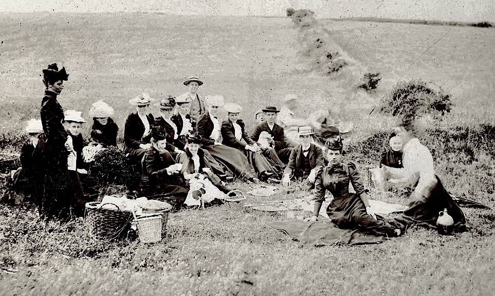 PicnicField.Mod1c