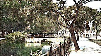 Weiher1924-345