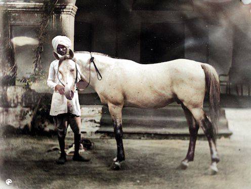 horse_with_keeper_Kopie-Colorized.Mod.496