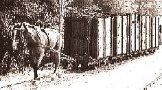 horsetrainKlSWk